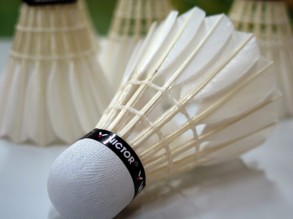 Badminton Federball